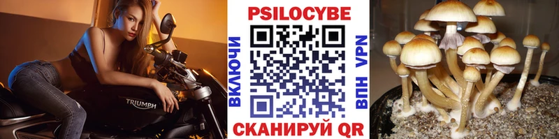 Галлюциногенные грибы Psilocybe  kraken как зайти  Горнозаводск  где купить наркотик 